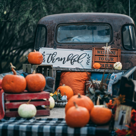 30 Days of Gratitude: Day 15