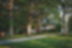 House Amid Trees