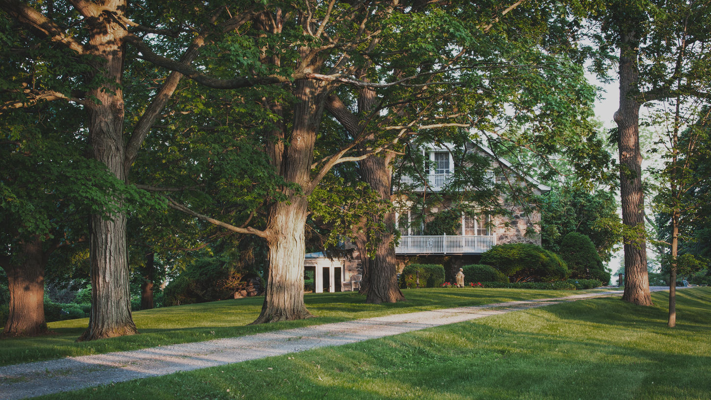 Long driveway leading to a house at Serene Estate