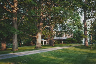House Amid Trees