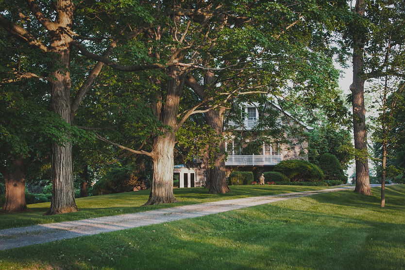 House Amid Trees