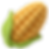 Corn on Cob Illustration