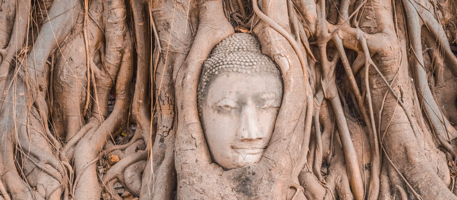 How long does Trauma Therapy take to work?