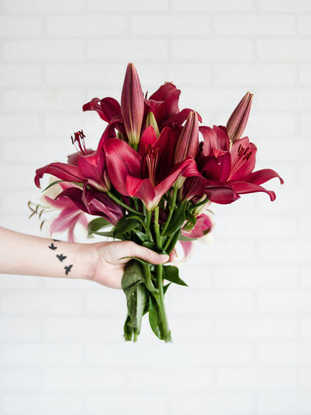 Understanding Emotional Manipulation in Romance Scams