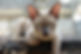 Un chat en vedette