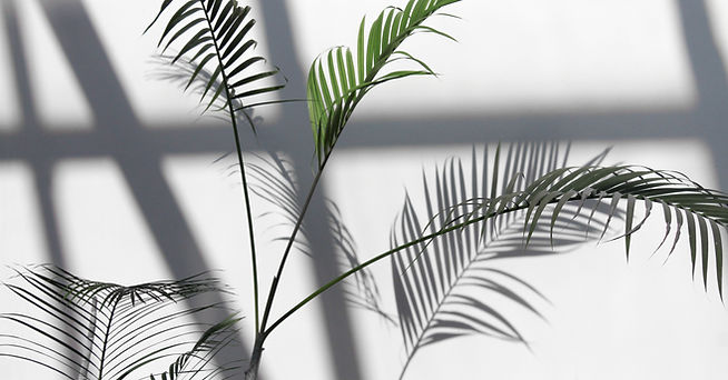Planta da casa