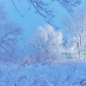 So schützen Sie Ihre Wasserleitungen vor Frostschäden