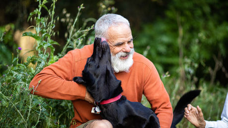 A veteran playing with his dog and wife.
