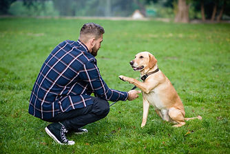 Giving a Hand