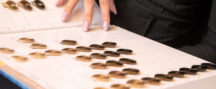 Палитра Цвета Волос