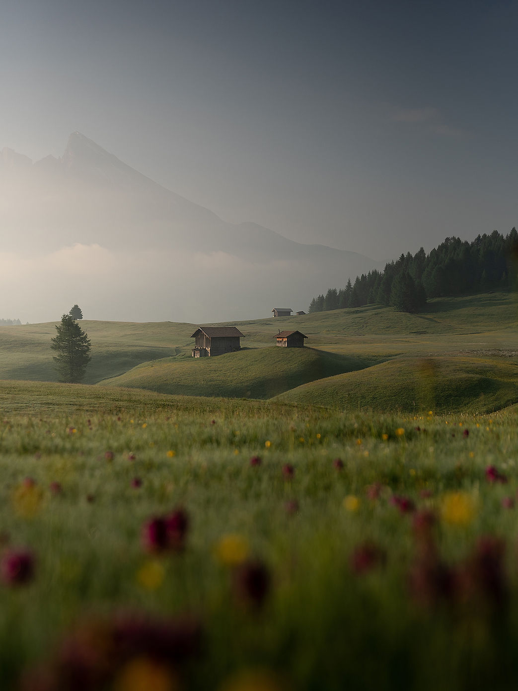 Cabins in the Countryside