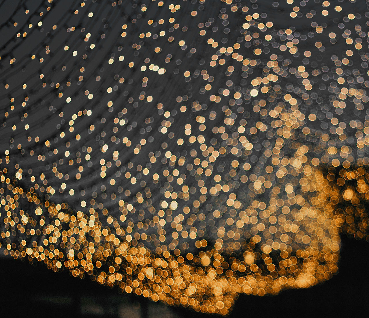 Sparkling Lights