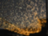 Lumières étincelantes