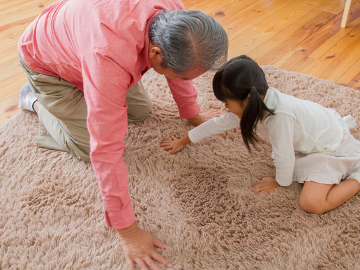 Carpet Guide 101