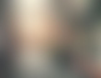 Dar Koridor ve Toplumların Ahlakı