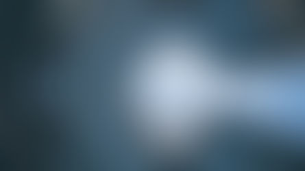 Misunderstood capital firms