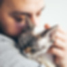 Cat Cuddles