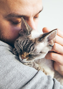 Cat Cuddles