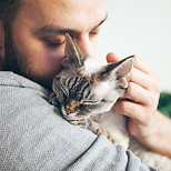 Cat Cuddles