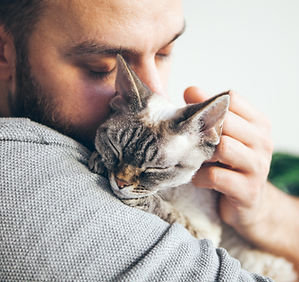 Cat Cuddles