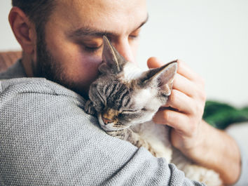Cat Owner