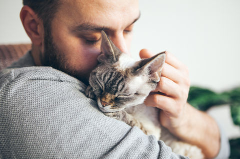 Cat Owner