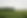 Green Fields