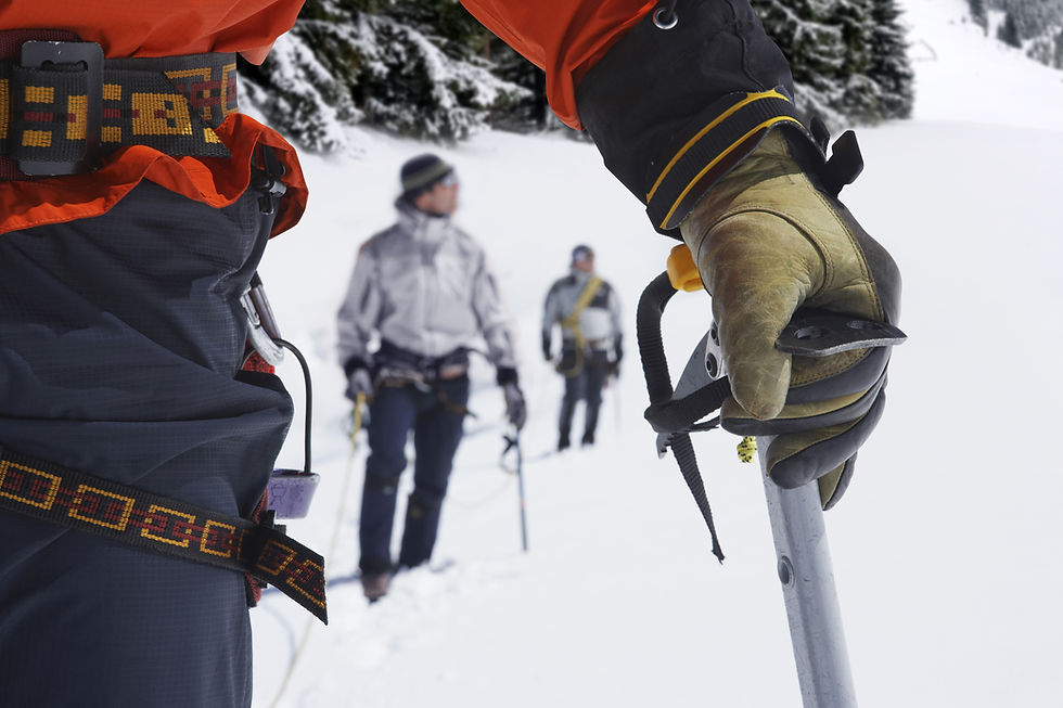 Klättringsäventyrsscen