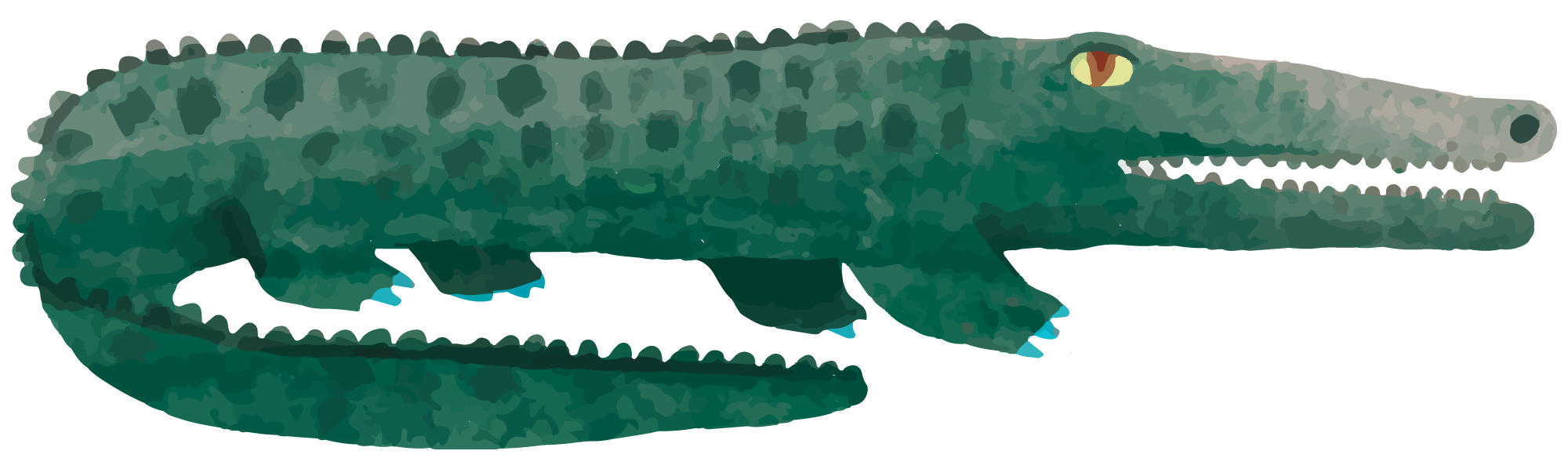 Green Crocodile Illustration