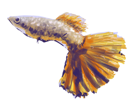 Fish Oil with Omega a Potential Game-Changer for Kids