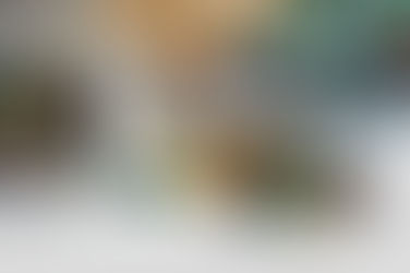 Nahrungsergänzungsmittel – Sinnvoll oder Geldverschwendung?