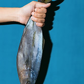 Hand Holding Fresh Fish