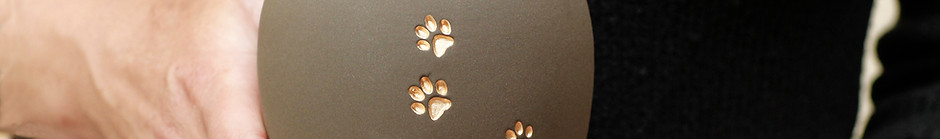 Pet Urn