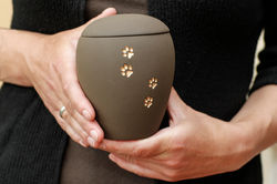 Pet Urn