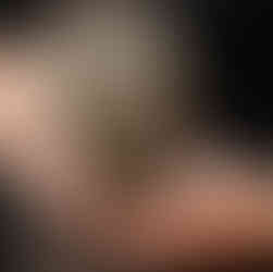 Urna para guardar las cenizas de tu mascota