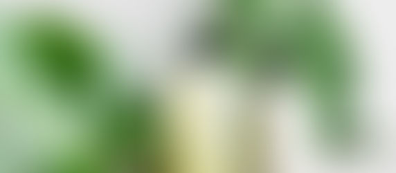 3 Challenges Wellness Brands Are Facing Today (And How to Overcome Them)