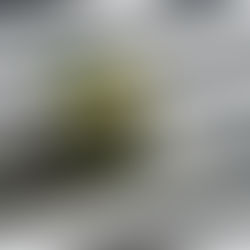 Bebida vegetal, el aliado que acompaña tu rutina y te motiva a sentirte mejor