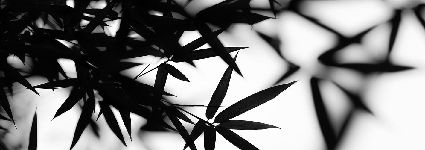 Bamboo Leaves