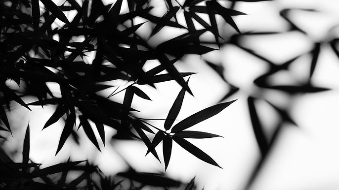Bamboo Leaves