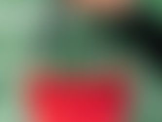 Play Bingo, win a designer purse; tickets still available for Heroes with Handbags Erath County.