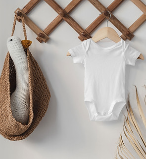 Baby Onesie Wall Display