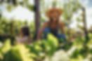 Woman Gardening in Sunlight