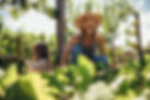 Woman Gardening in Sunlight