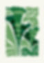 Green Botanical Illustration