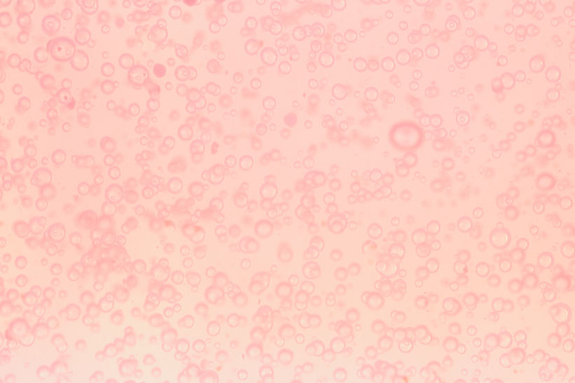 Pink Bubbles