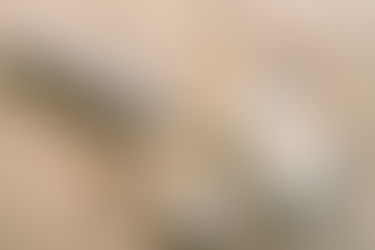 Your Homeopathic First Aid Kit