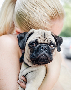 Pug Hug