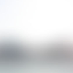 Significant increase in number of shipments from Danube ports but only with small vessels