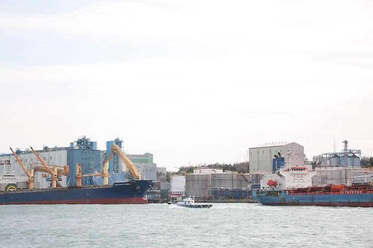 Freighters Docked at Port