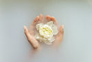 Hands Holding Flower
